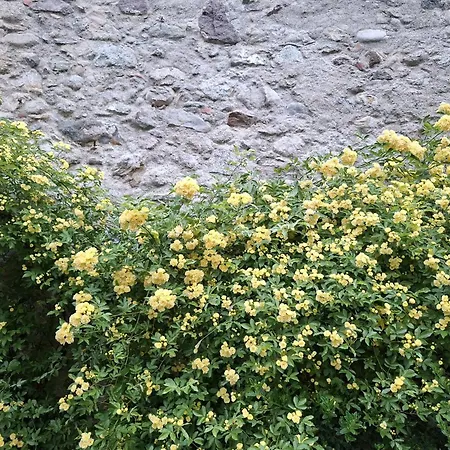 Apartment Ansitz Thierburg Merano