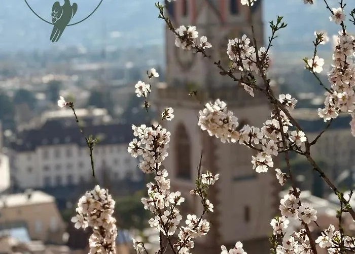 Apartman Ansitz Thierburg Merano